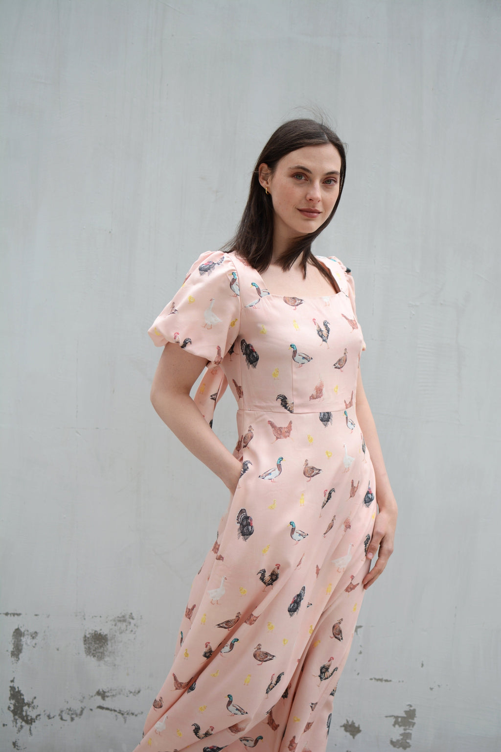 Poultry dress