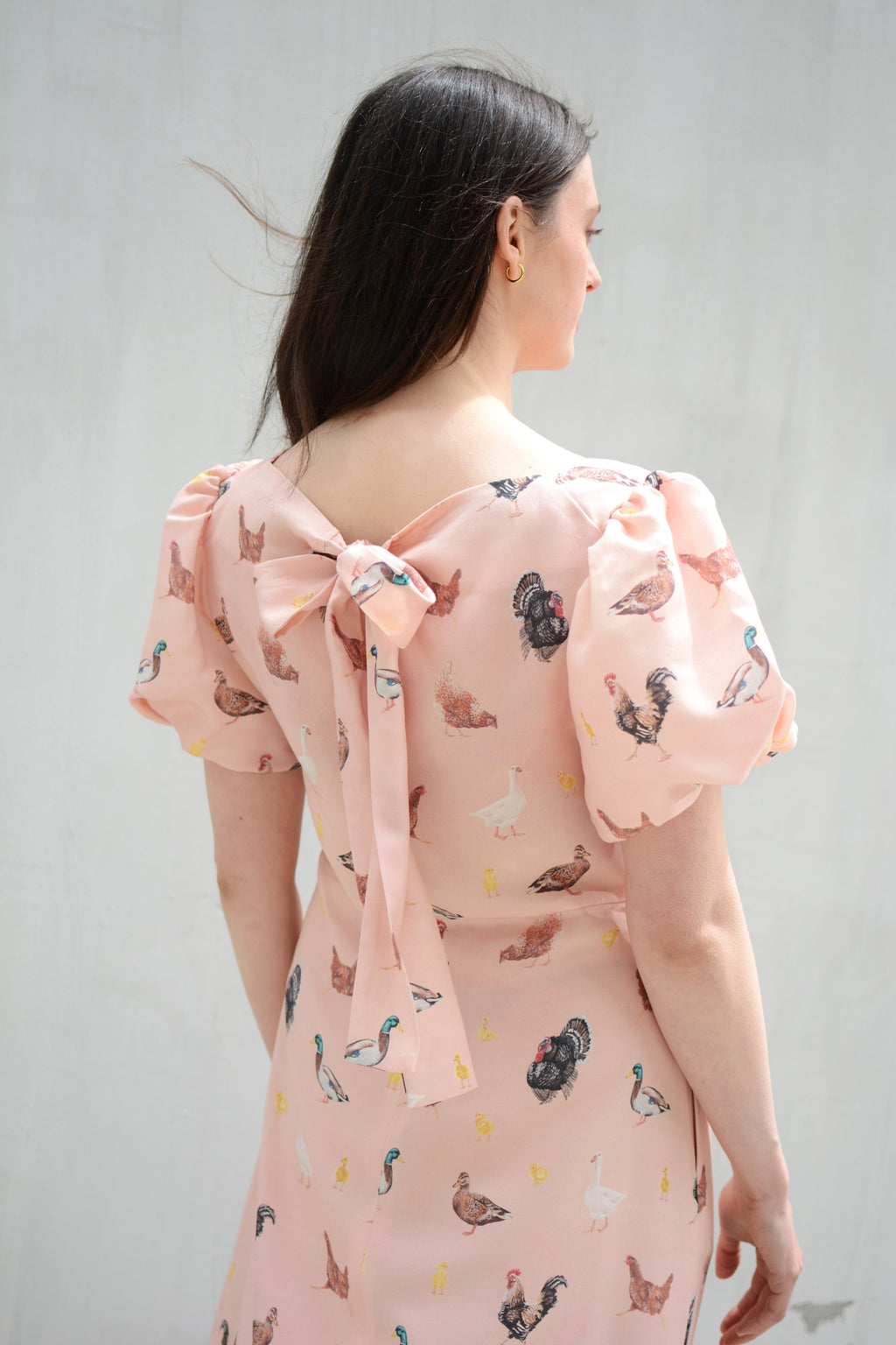 Poultry dress