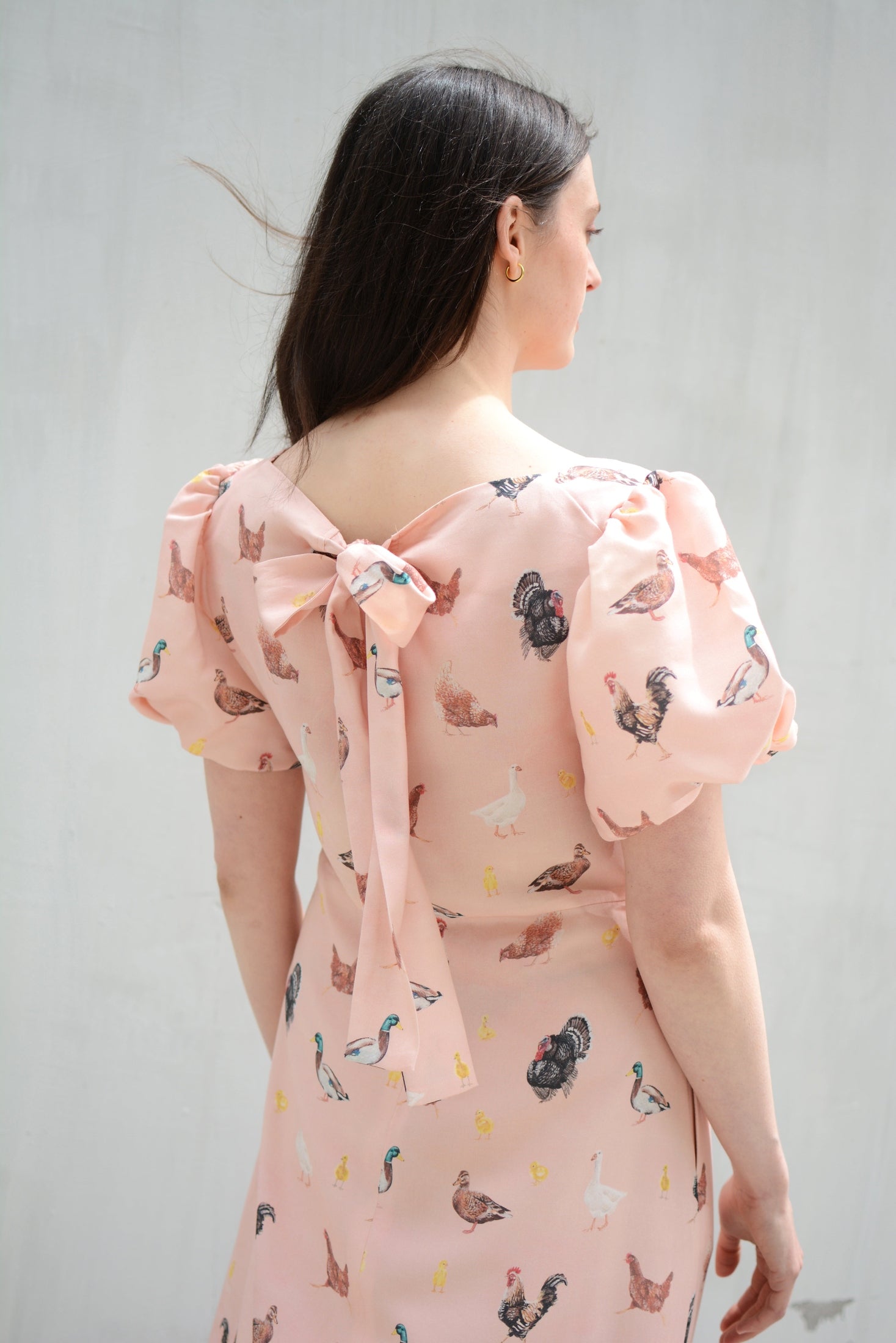 Poultry dress