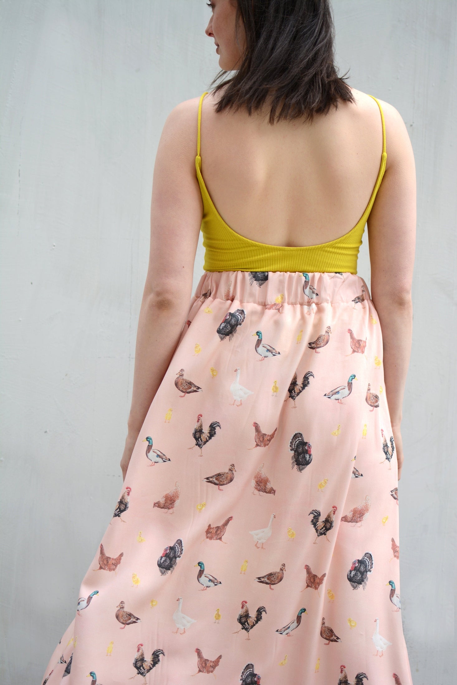 Poultry skirt